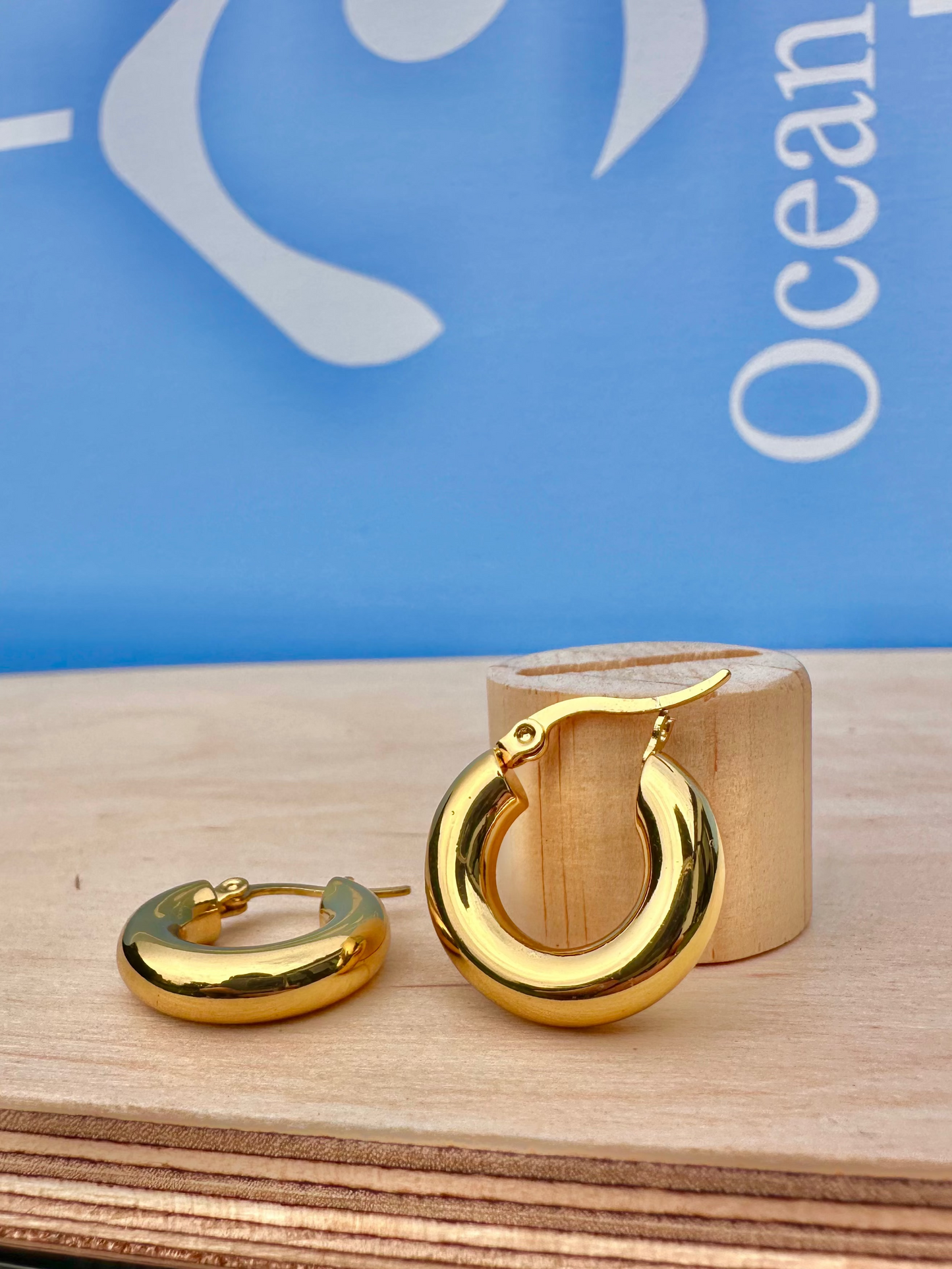 Gold Sun Hoop Earrings