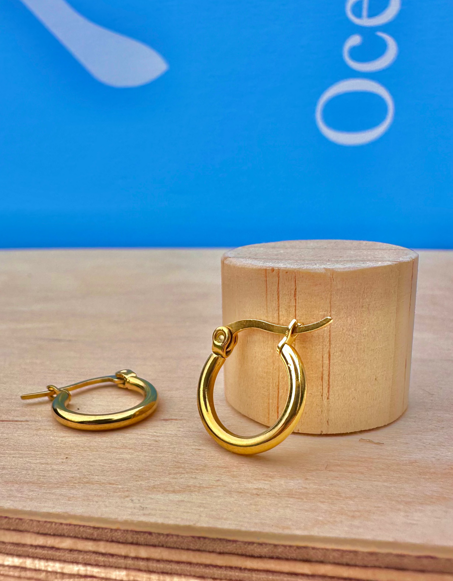 Gold Hoop Earrings