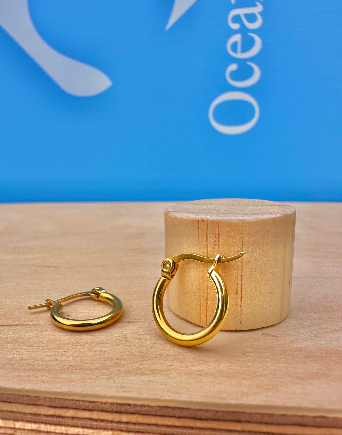 Gold Hoop Earrings