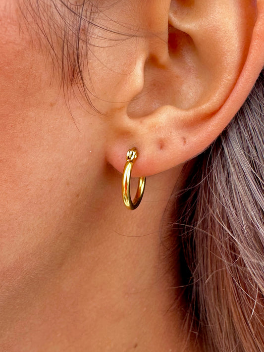 Gold Hoop Earrings